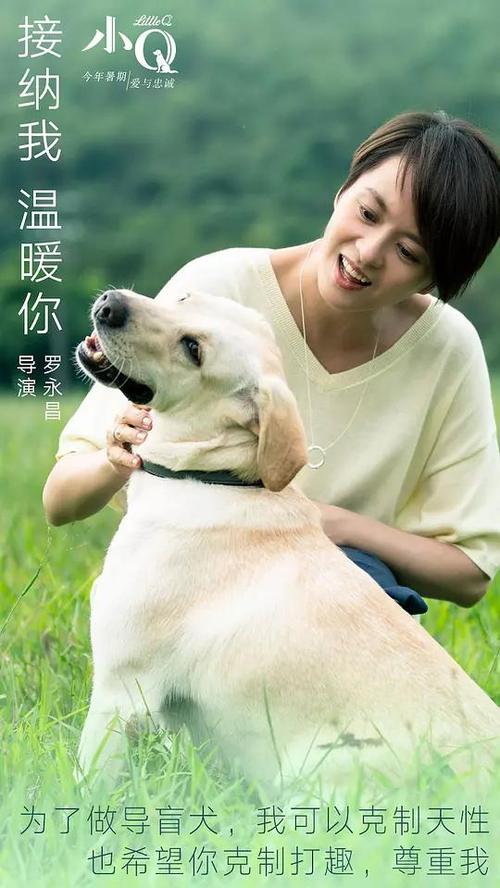 怎么做假东帝汶ID